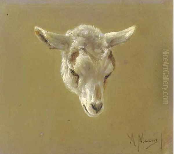 Head of a lamb - a study - view 1