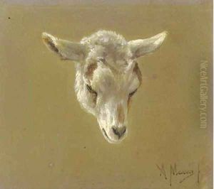 Head of a lamb - a study by Anton Mauve