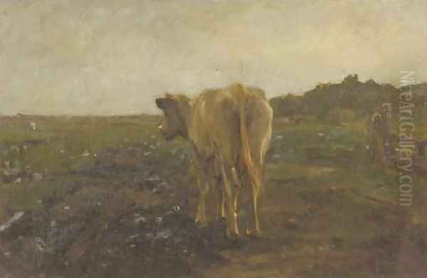 A cow in a meadow - a study - view 1