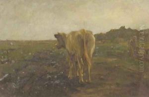 A cow in a meadow - a study by Anton Mauve