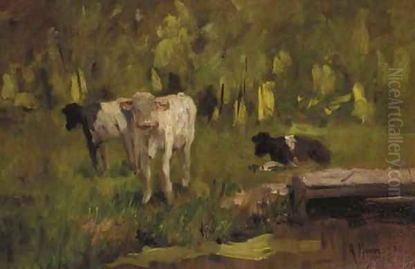 Calves in a meadow - a study - view 1