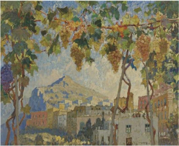Grapes, Capri - view 1