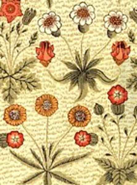 Daisy - view 1