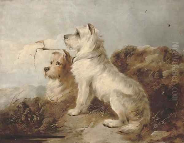 Scotties on a summit - view 1