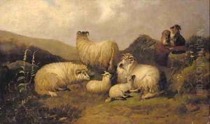 Sheep in a Highland landscape Sheep in a Highland landscape