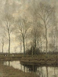 Along The Vordense Beek Along The Vordense Beek