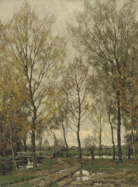 The Vordense Beek In Autumn - view 1