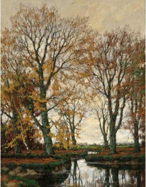 The Vordense Beek In Autumn - view 1
