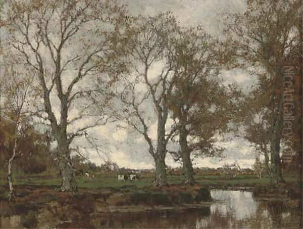 The Vordense Beek In Autumn - view 1