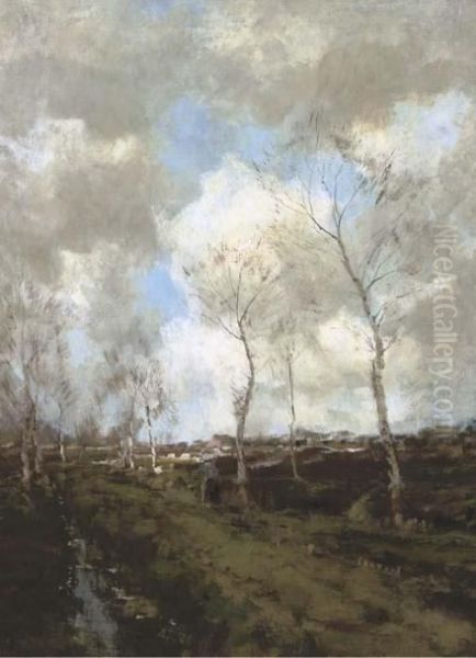 Heideweg In Drenthe: Birches Along A Country Path - view 1