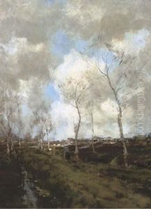 Heideweg In Drenthe: Birches Along A Country Path