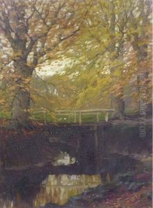 Herfstgoud: Beech Trees In Autumn