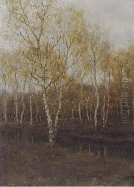 Birch Trees In Autumn - view 1
