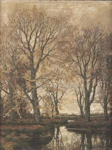 Fall Landscape With Trees Along A Stream Fall Landscape With Trees Along A Stream