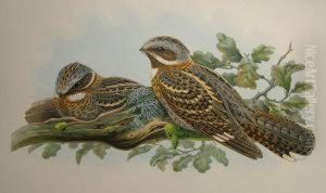 Coloured Lithograph