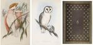 The Birds Of Australia