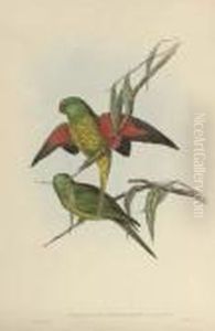 King Lory; Scaly-breasted 
Lorikeet; Swift Lorikeet; Blue-banded Grass Parrakeet; Splendid Grass 
Parrakeet; Orange-bellied Grass-parrakeet; Adelaide Parrakeet; 
Pale-headed Parrakeet; Swainson's Lorikeet; Varied Lorikeet; Warbling 
Grass-parrakeet; C