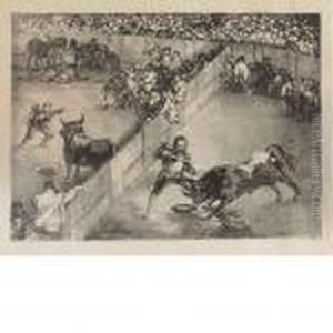 Bullfight In A Divided Ring