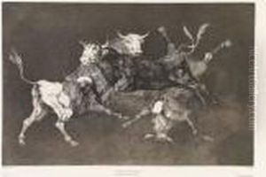 Lotto Di 4 Acqueforti by Francisco Goya Fuendetodos