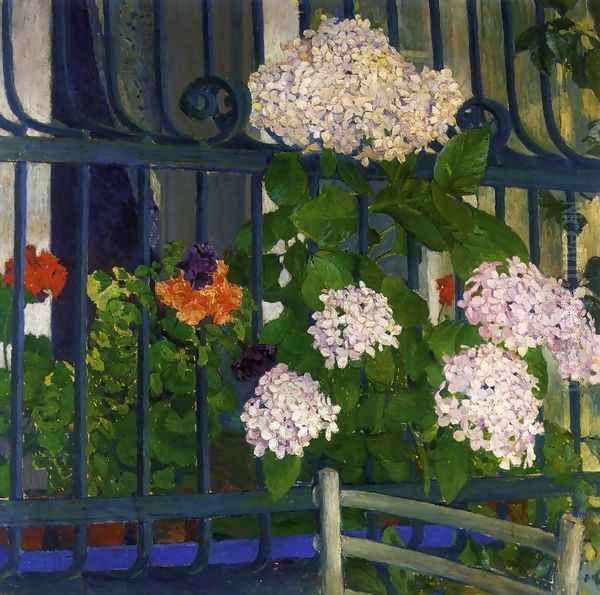 Geraniums - view 1