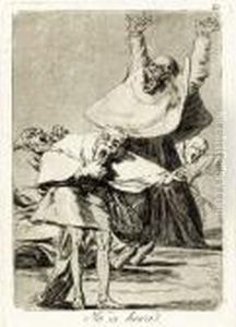 No Grites, Tonta; Esta Um...pues, Como Digo...eh! Cuidado! Si No! by Francisco Goya Fuendetodos