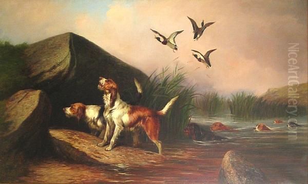 Otter Hounds And Ducks - view 1