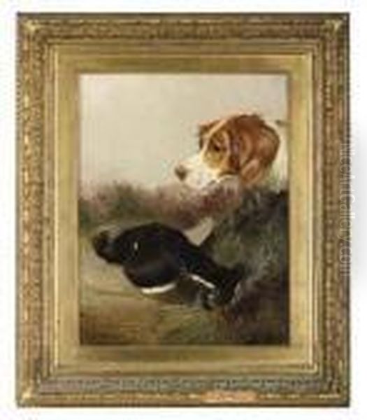 A Gundog Retreiving - view 1