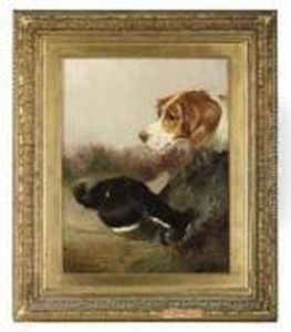 A Gundog Retreiving