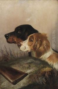Head And Shoulder Portraits Of Gun Dogs by Colin Graeme Roe