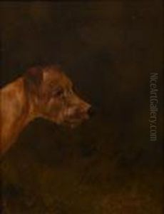 Irish Terrier by Colin Graeme Roe