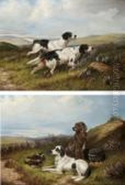 Setter In Landscapes With Dead Game - view 1
