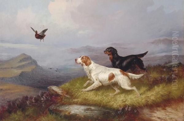 Setters Putting Up A Grouse - view 1