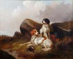 The Day's Bag, And A Companion by Colin Graeme Roe