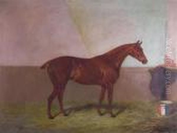 'laura' By F Kelly's Sir Alf - view 1