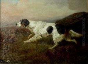 Hunting Dog In Moorland Landscape by Colin Graeme Roe