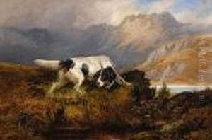 Setter In The Heather by Colin Graeme Roe