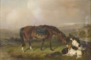 Cavallo Con Cani Da Caccia A Riposo