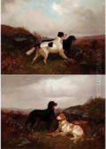 A Gordon And An English Setter In The Scottish Highlands by Colin Graeme Roe