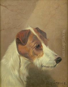 Head Studiesof Jack Russell Terrier by Colin Graeme Roe