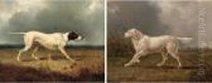 A Setter On The Scent; And On The Point by Colin Graeme Roe