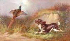 Spaniel Flushing A Pheasant by Colin Graeme Roe