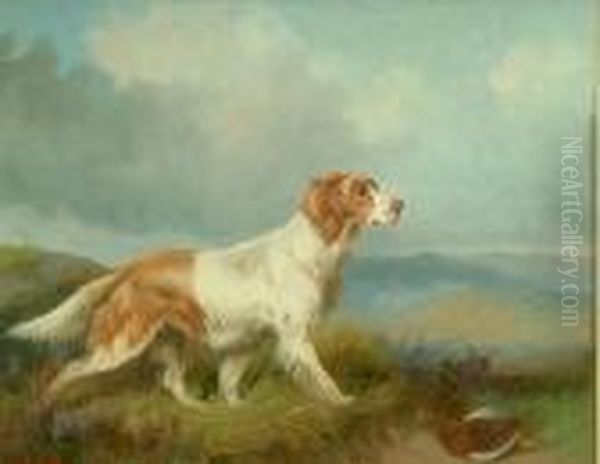Brown And White Setter In A Highland Landscape - view 1