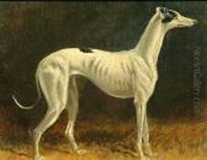 Portrait Of A Black And White Whippet; Portrait Of A Brown And White Whippet by Colin Graeme Roe
