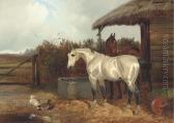 Horses At A Trough - view 1