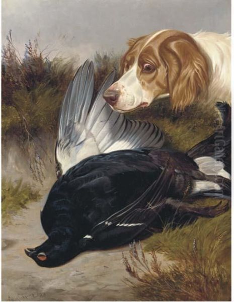 A Gundog With A Black Game - view 1