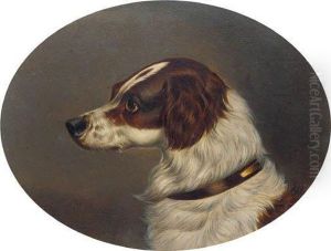 The Head Of A Gundog