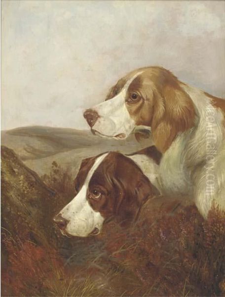 A Brace Of Pointers - view 1