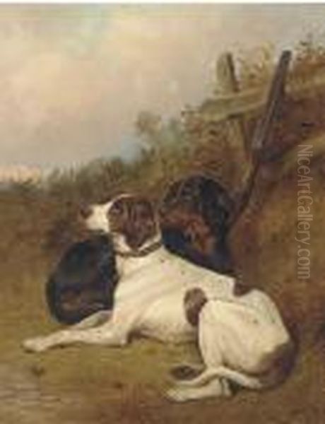 English Pointers - view 1