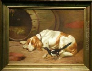 A Spaniel And A Magpie In A Barn by Colin Graeme Roe