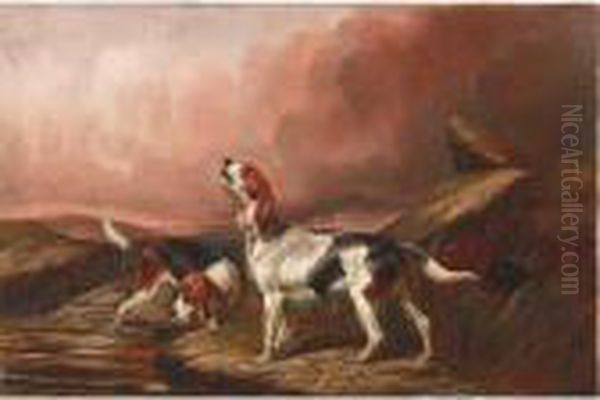 Hunting Dogs - view 1